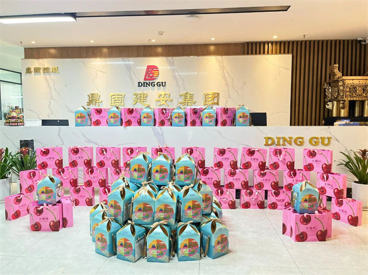 粽香盈满筑梦路，端午情暖鼎固人